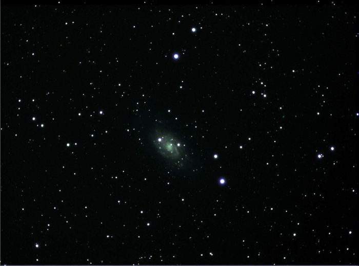 NGC 2403 Cam